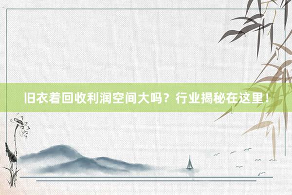 旧衣着回收利润空间大吗？行业揭秘在这里！