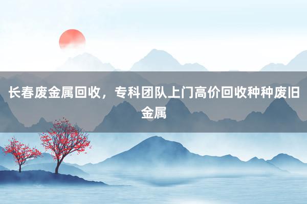 长春废金属回收，专科团队上门高价回收种种废旧金属